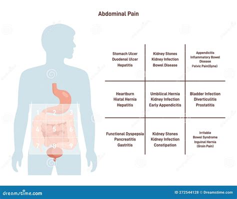 stomach übersetzung|stomach ache in german.